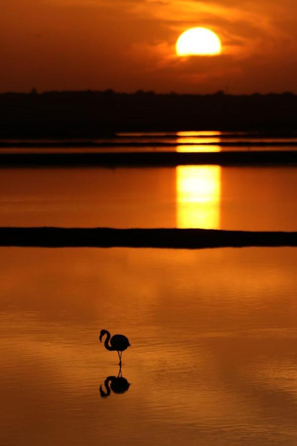 Vistas Encantadoras มาตาลัสกาญาส ภายนอก รูปภาพ